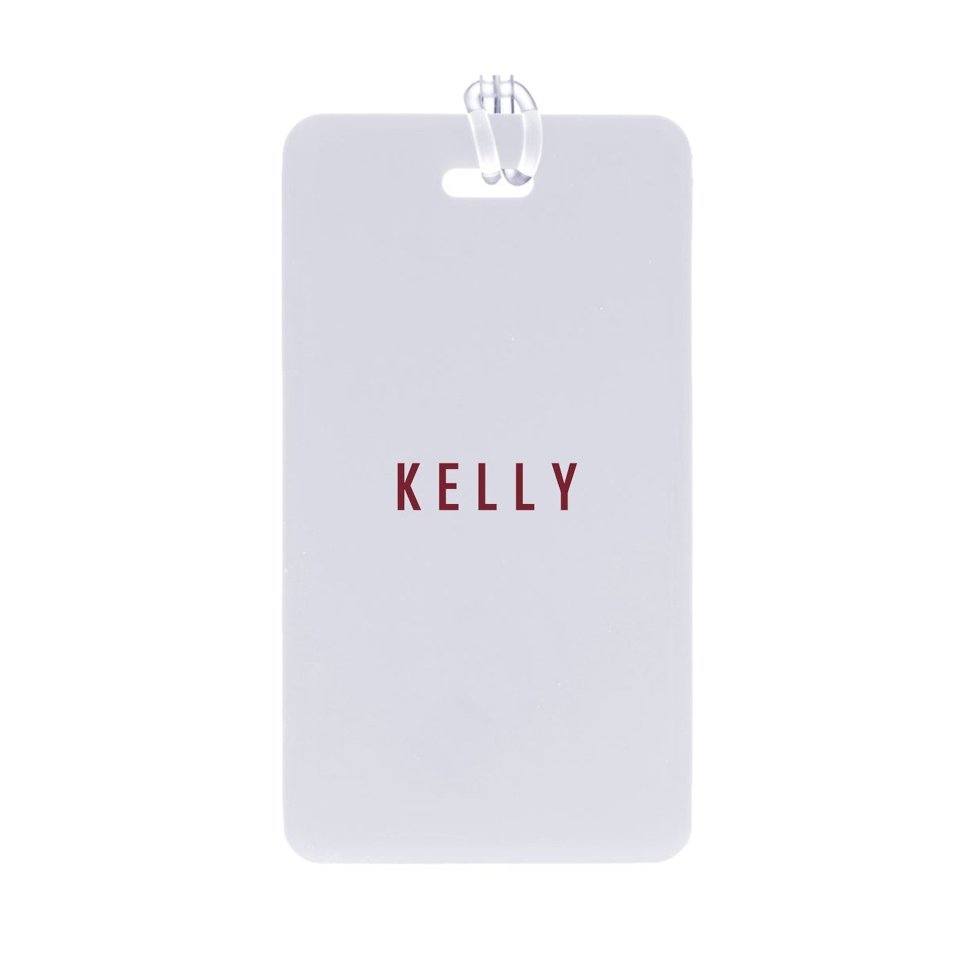 Primary Indentity Bag Tag